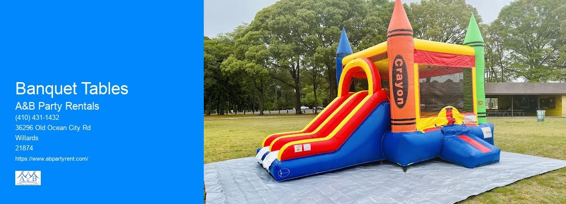 Birthday Party Rentals For Babies